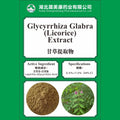 Licorice Root Extract
