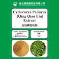 Cyclocarya paliurus extract