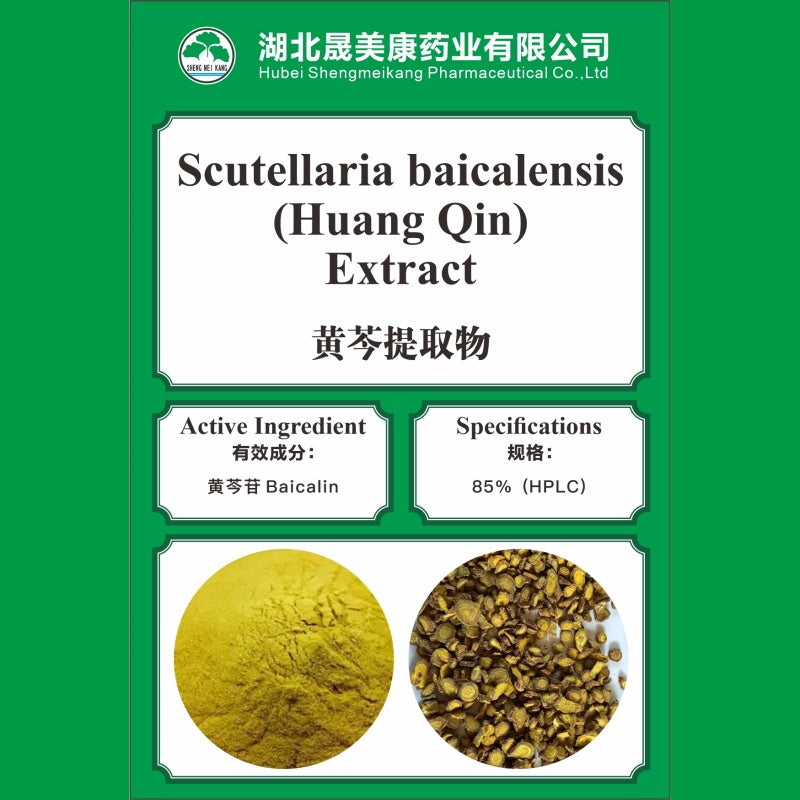 Scutellaria baicalensis Extract