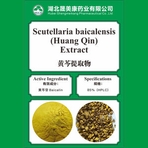 Scutellaria baicalensis Extract