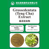 Ampelopsis grossedentata extract