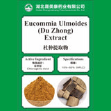 Eucommia ulmoides Extract