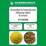 Scutellaria baicalensis Extract