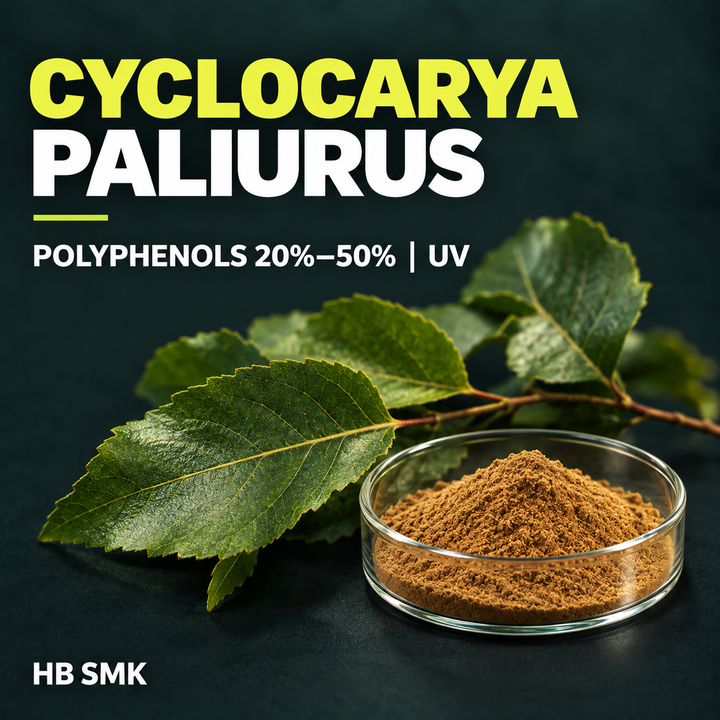 Cyclocarya Paliurus product card