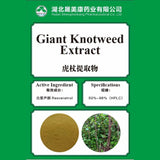 Giant Knotweed Extract