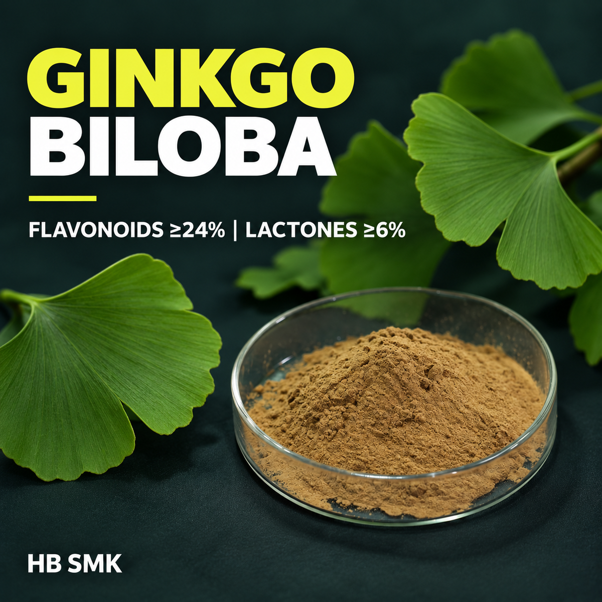 Ginkgo Biloba Extract product card