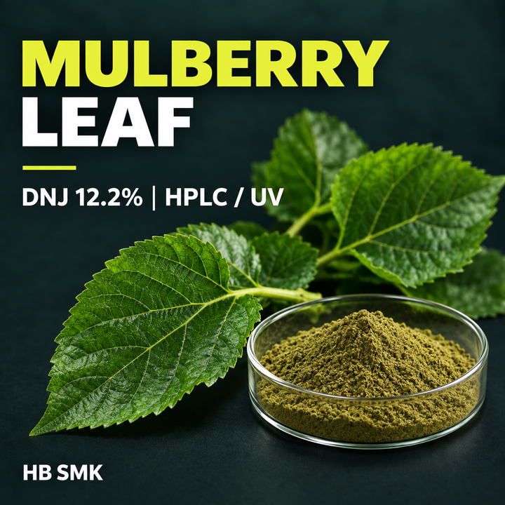 Mulberry Leaf Extract product card