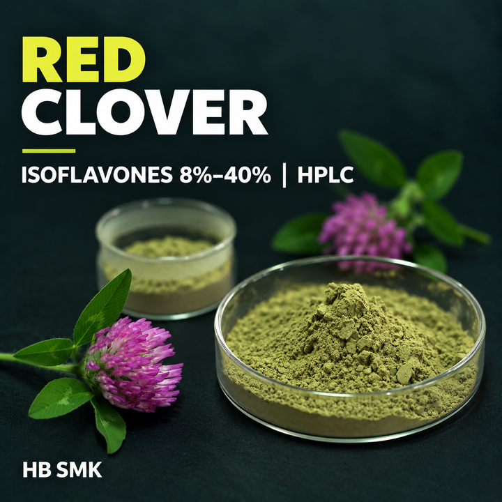 Red Clover Extract product card
